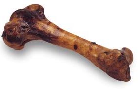 giant femur