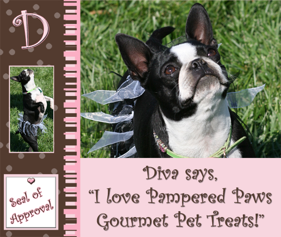 Diva's Endorsement of Gourmet Pet Treats