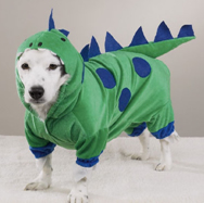 Halloween Costume Contest